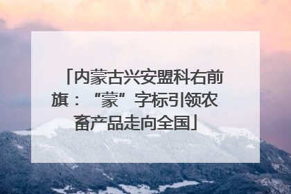 内蒙古兴安盟科右前旗：“蒙”字标引领农畜产品走向全国